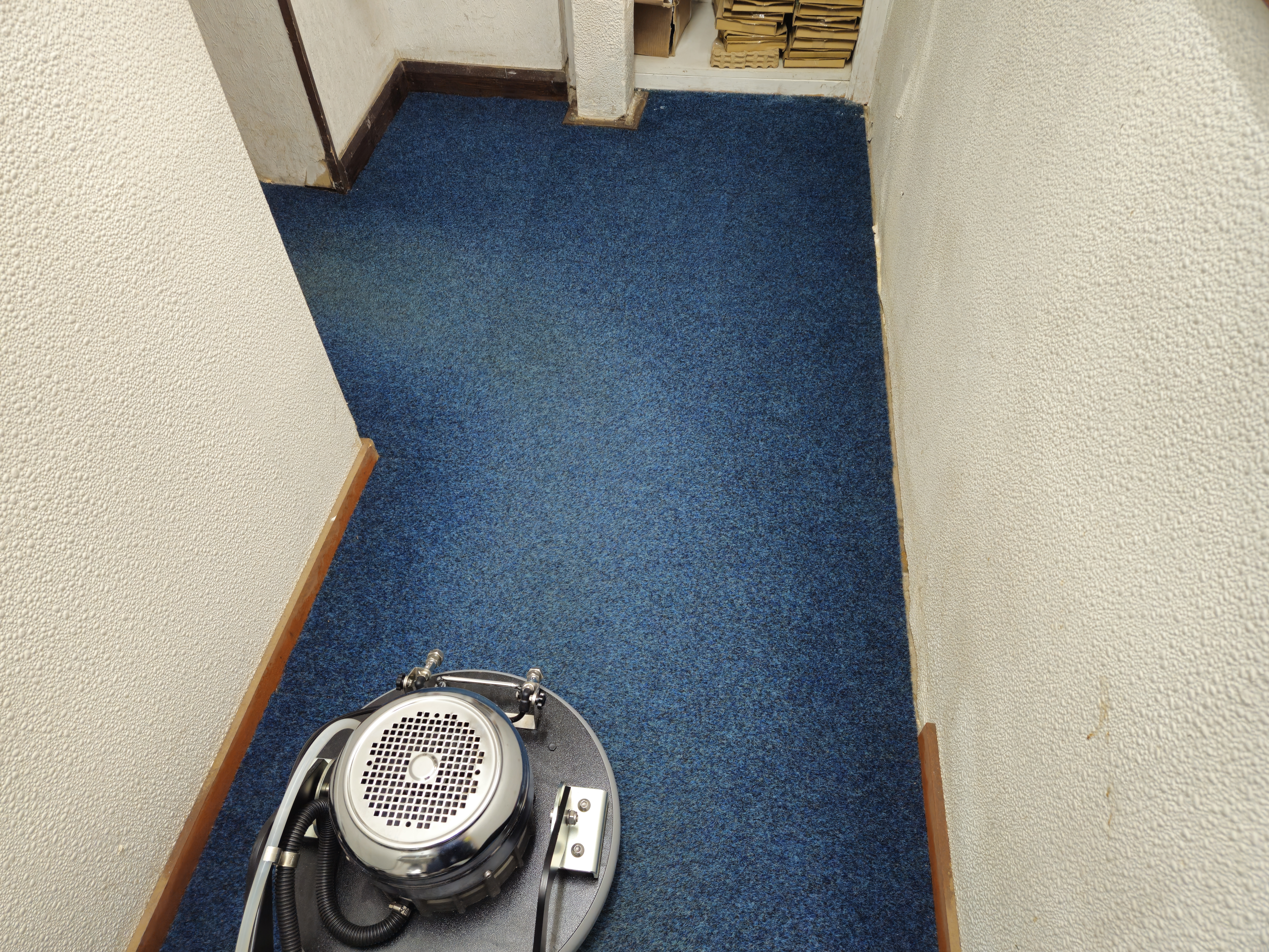 Carpet tiles after colour revival and deep cleaning