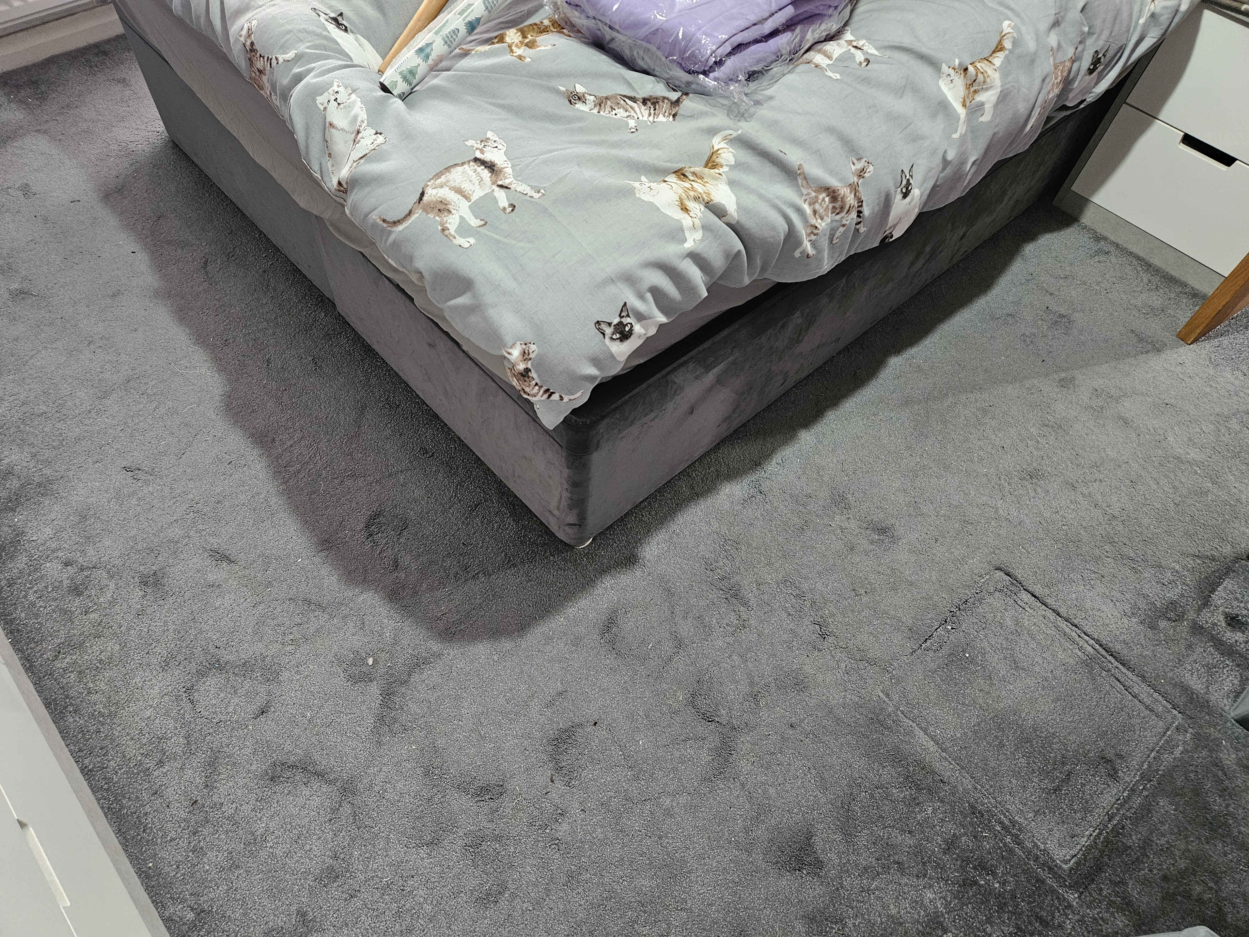 Carpet before cleaning - embedded pet hair and soils