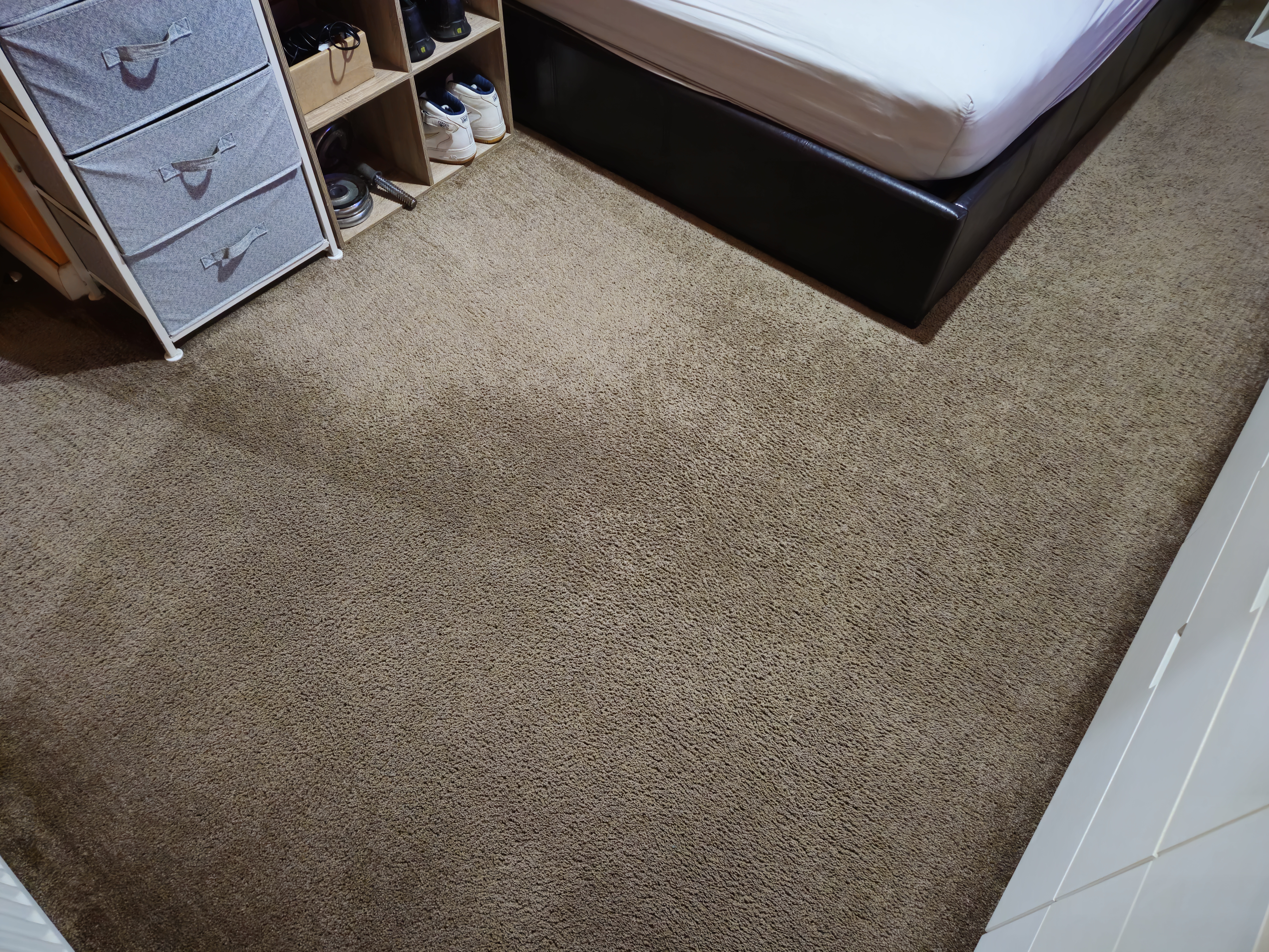 Carpet after pile lifting and deep cleaning