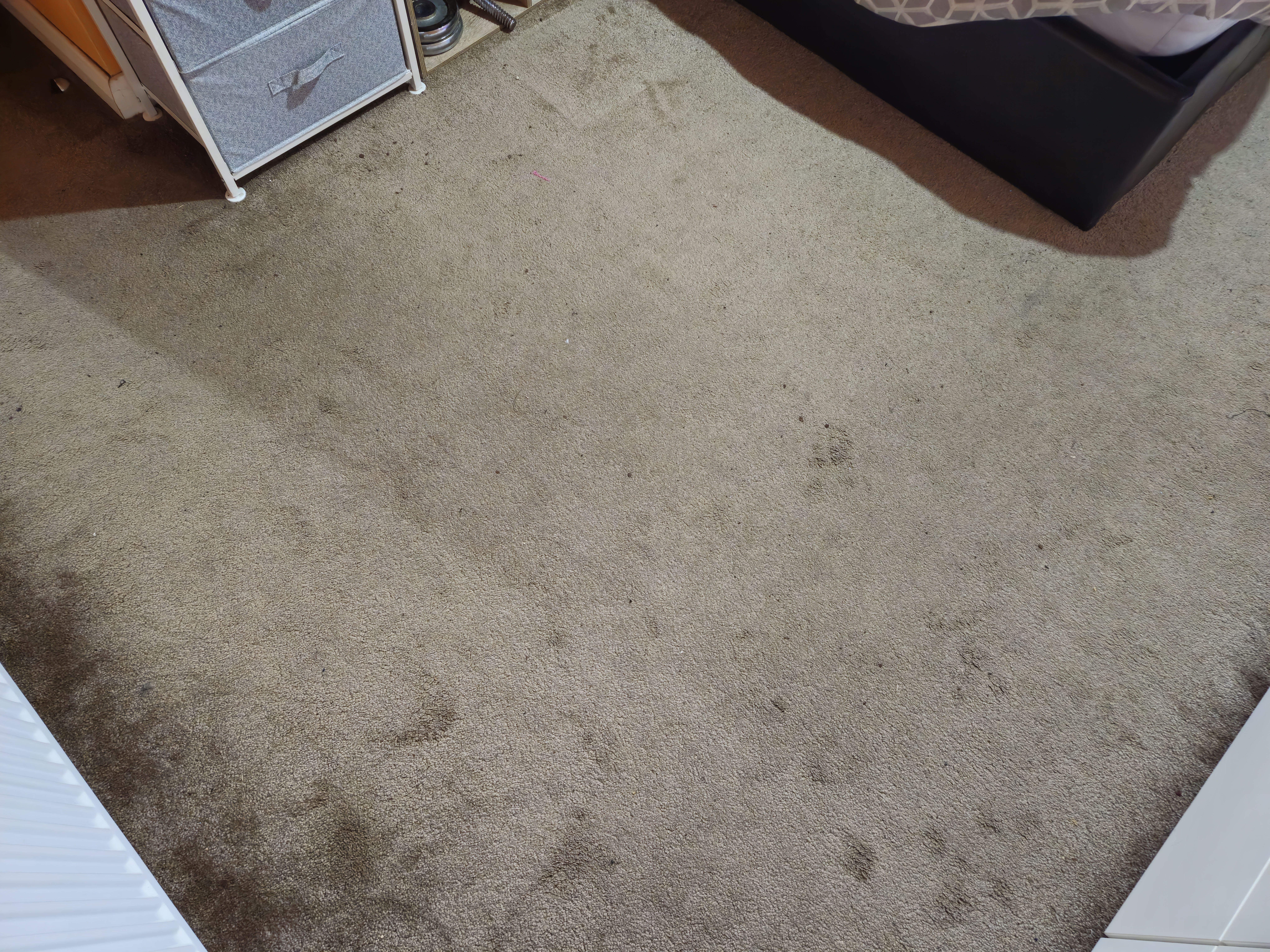 Carpet before cleaning - heavily matted pile