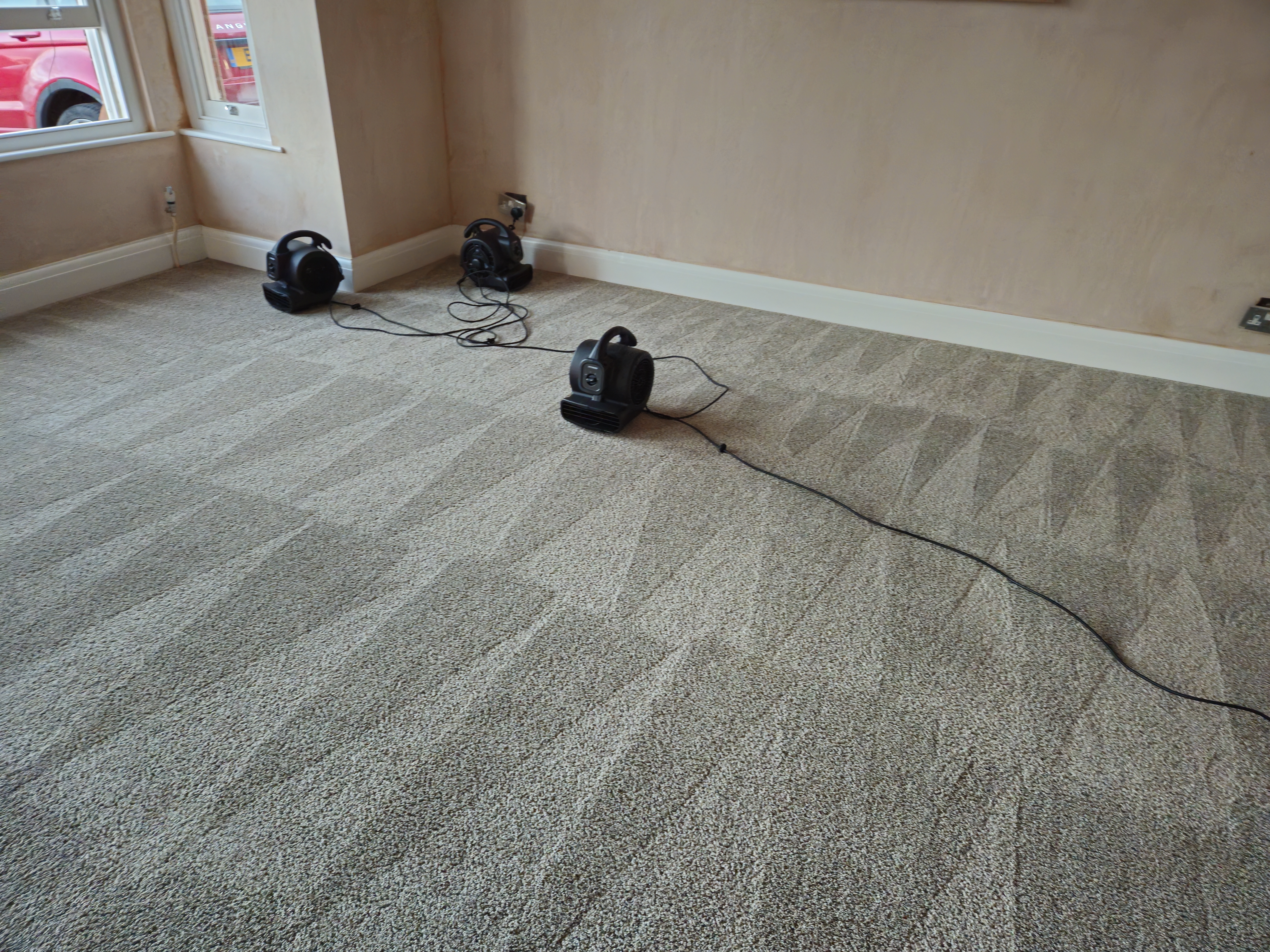 Carpet after post-renovation deep clean
